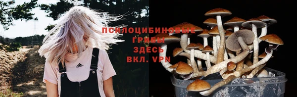 бошки Абаза