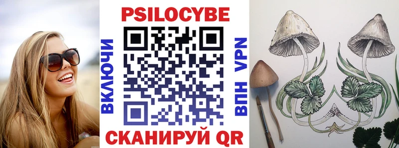 Псилоцибиновые грибы Cubensis  купить   Уржум 